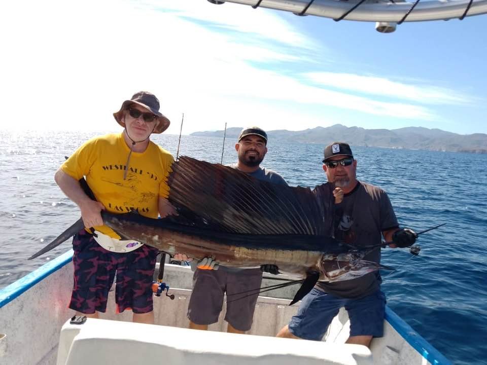 Welcome to the most comfortable and relaxing lodging in Loreto Baja California Sur, Mexico.